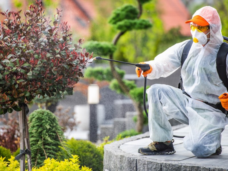 Karaisalı Haşere İlaçlama